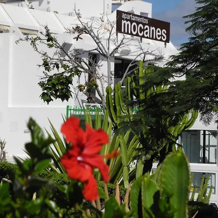 Mocanes *