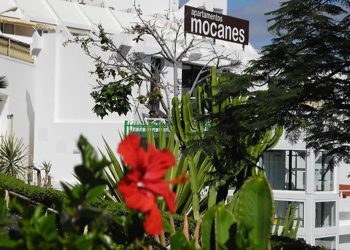 Mocanes *