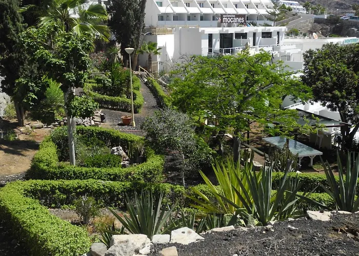 Apartment Mocanes *